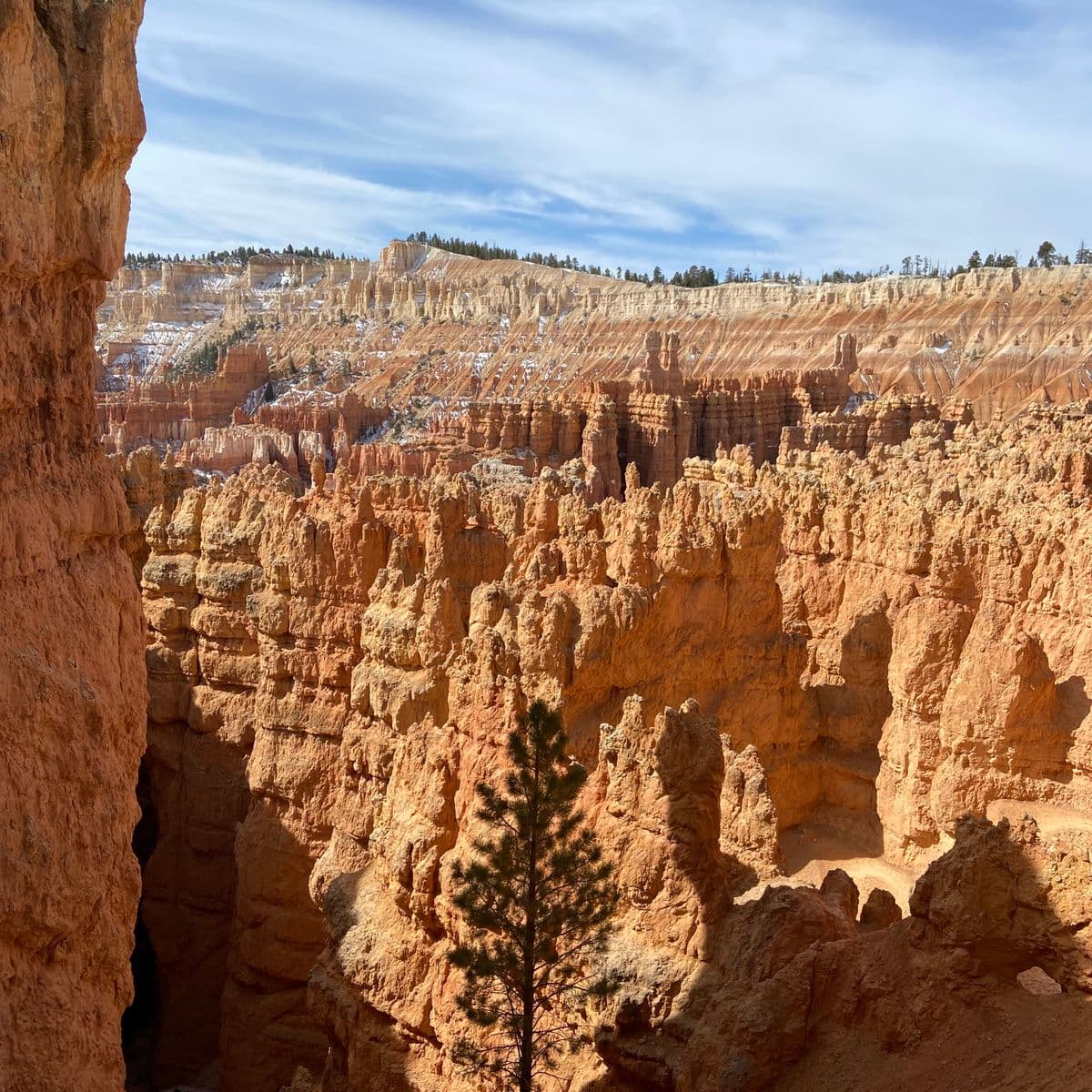 Orange hoodoos rising across Bryce Canyon in southern Utah