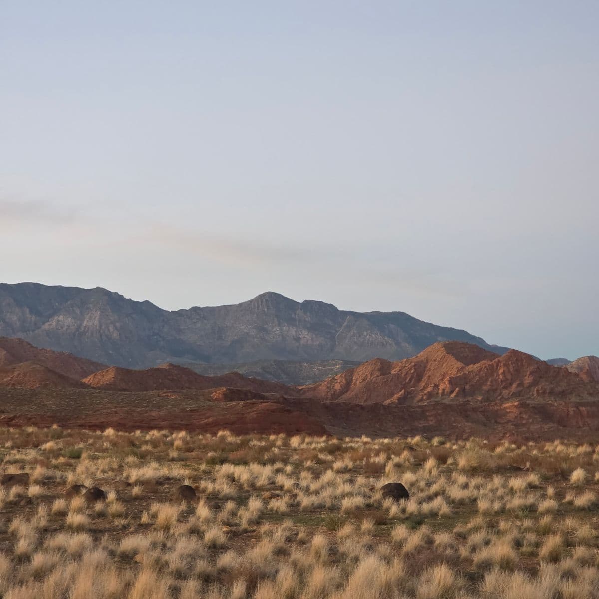Desert grassland and red mountains near Hurricane, Utah